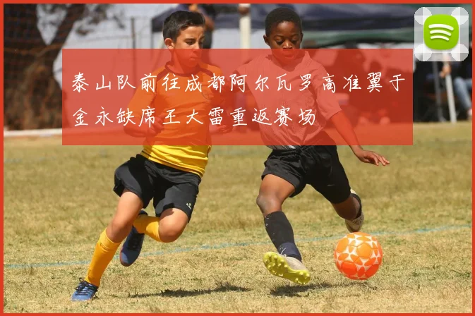 泰山队前往成都阿尔瓦罗高准翼于金永缺席王大雷重返赛场